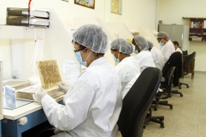 El trabajo técnico que preserva la memoria del país